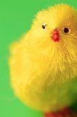 Желтуха новорожденных: патологическая желтуха, физиологическая желтуха