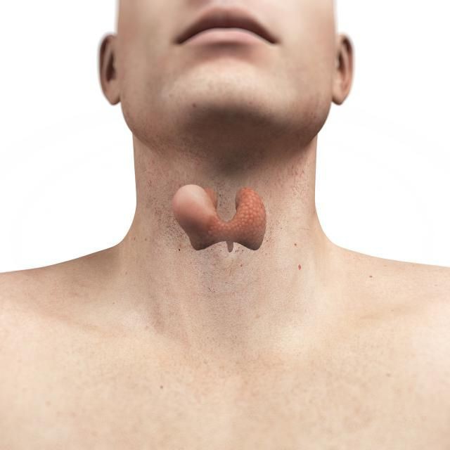 Какого размера узлы на щитовидной железе опасны