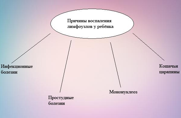 Причины и лечение воспалённых лимфоузлов на шее, если увеличенные, болят, опухли. УЗИ, диагностика и удаление